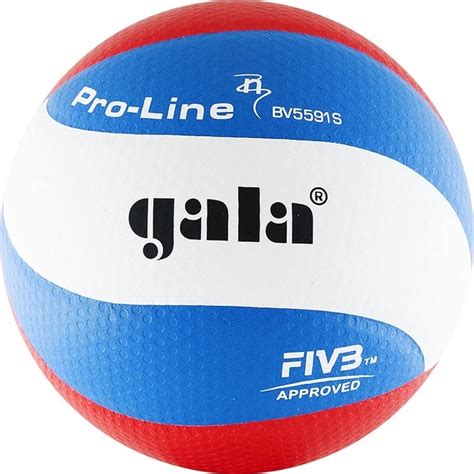 Cuanto Cuesta Una Pelota De Voleibol Online Orders Brunofuga Adv Br