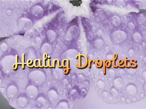 Book A Massage With Healing Droplets San Diego Ca 92108