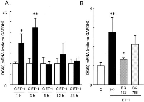 Adenovirus Mediated Overexpression Of Diacylglycerol Kinase Inhibits