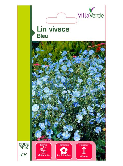 Lin vivace bleu cp2 de Villaverde pas cher livré de France à Bordeaux