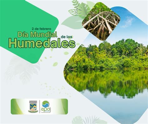 Día Mundial De Los Humedales