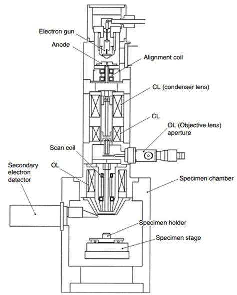 Figure Schematic Diagram Of A Scanning Electron Microscope Jsm