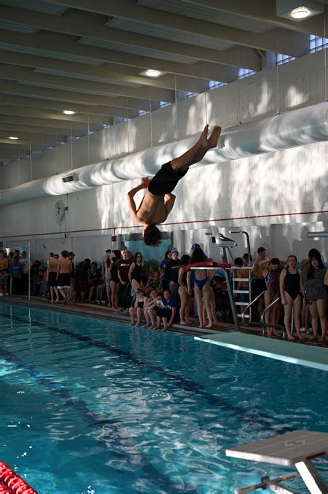 Swim and Dive Excited for Championships | The Warrior Online