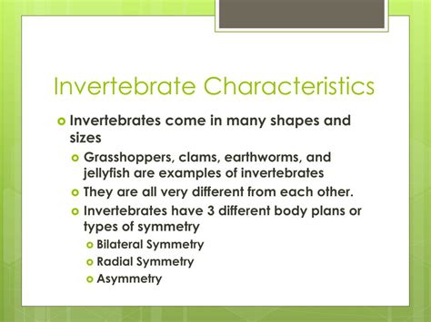 PPT - Simple Invertebrates PowerPoint Presentation, free download - ID:1973751