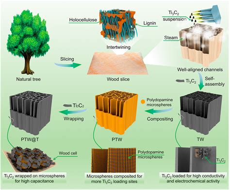 publications sustainable functional biomaterials lab