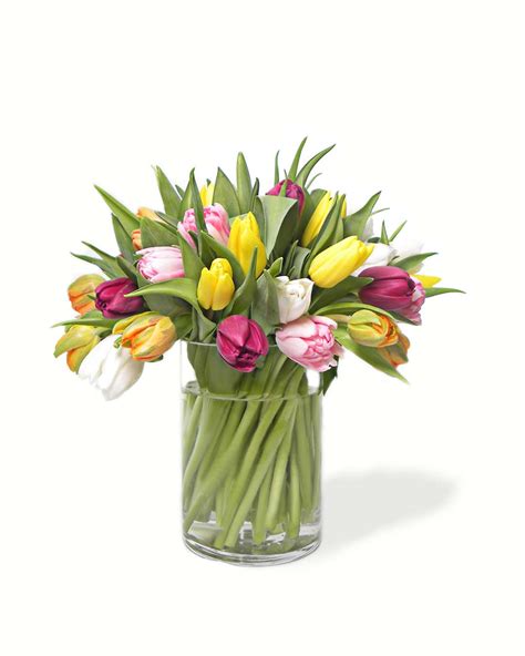 Rainbow Tulips - Ariston Flowers and Boutique