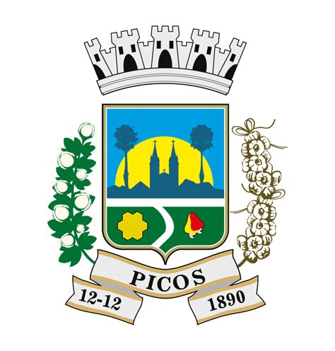 PREFEITURA DE PICOS