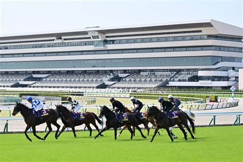 リニューアルの京都競馬場で走行テストを実施 川田、和田竜、渡辺調教師らが全面改修のターフを疾走 競馬ニュース・特集なら東スポ競馬