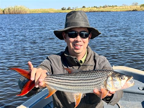 How To Catch African Tigerfish