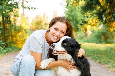 Raças de cachorro bravo Descubra as 10 mais temperamentais