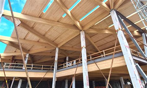 Timber Building Innovation Nz Versus The World Strong Tie