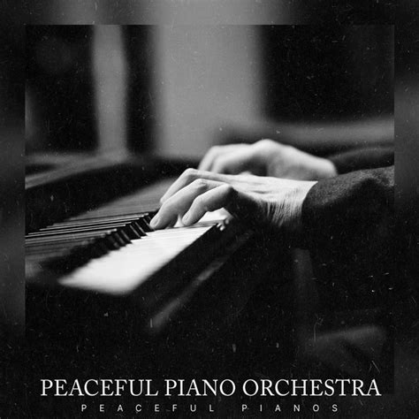 Peaceful Piano Orchestra Album By Peaceful Pianos Spotify