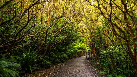 Fiordland National Park - Best Bits