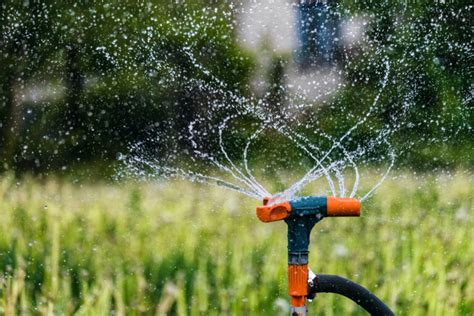 Tipos de aspersores de agua para jardín Guía completa y comparativa