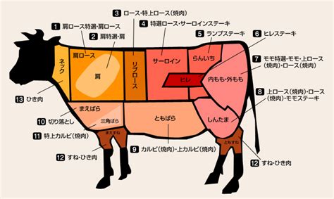 牛肉の部位｜米沢牛専門店 さかの