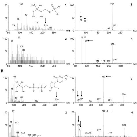 Esi Qtof Ms Negative Ion Mode Spectra Of Mep Cdp Me And Me Cpp