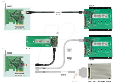 DELOCK 89923: PCI Express x4 Card U.2 NVMe > internal SFF-8654 4i + SFF ...