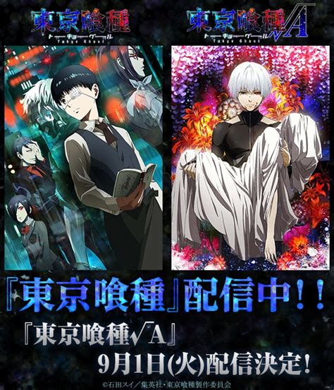 TVアニメ東京喰種トーキョーグール 東京喰種トーキョーグールA配信株式会社ドコモアニメストアのプレスリリース