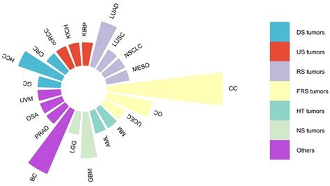 Dars As1 A Vital Oncogenic Lncrna Regulator With Potential For Cancer