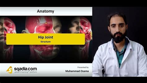 Hip Joint - Structure