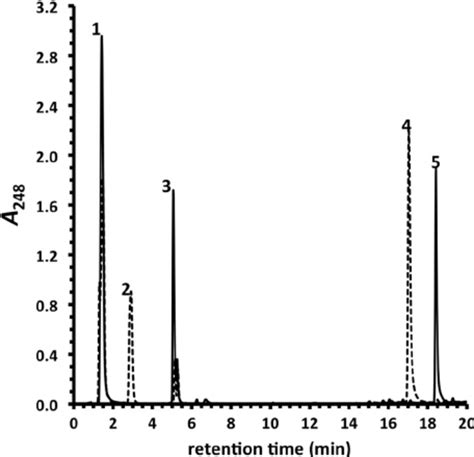 Transformation Of 4 BNC To 4 BNC CoA By CasI HPLC Chromato Grams Are