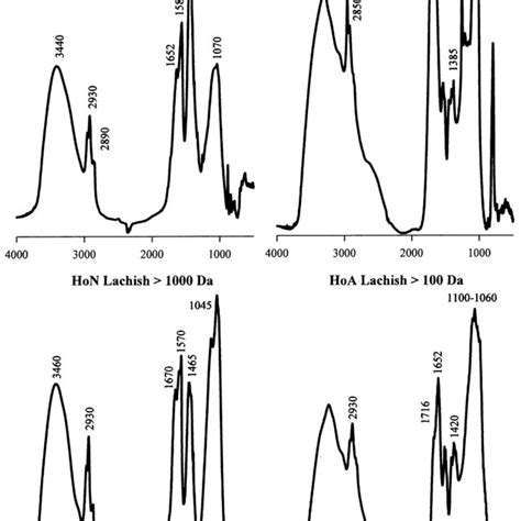 Absorbance Fourier Transform Infrared Ftir Spectra Of The 1000 Da