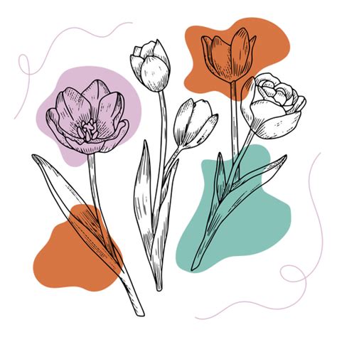 Diseño Png Y Svg De Conjunto De Flores Dibujadas A Mano Para Camisetas