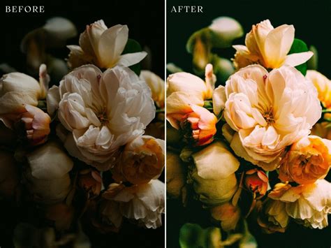 Floral Lightroom Presets Masterbundles