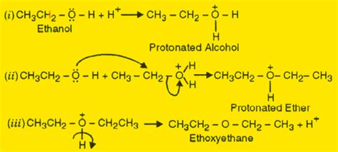 Describe The Mechanism Of The Formation Of Diethyl Ether From Ethanol