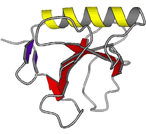 Overall Structure Of Rnase T1 The N Terminal α Helix Is Shown In Download Scientific Diagram