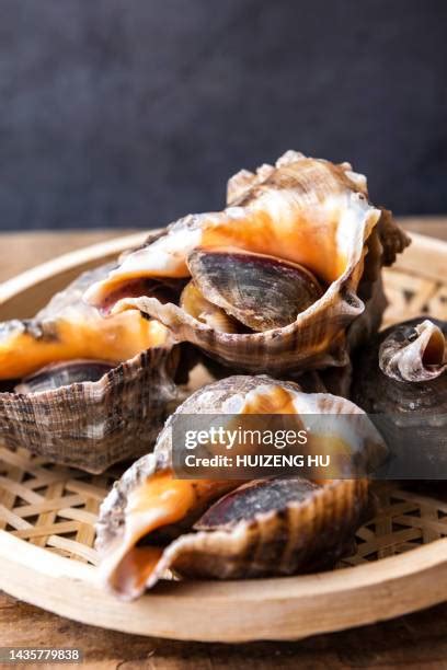 55 Conch Meat Stock Photos High Res Pictures And Images Getty Images