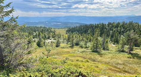 For Svakt Om Natur Besteforeldre For En Ansvarlig