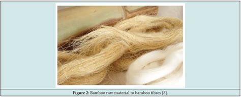 Bamboo in Textiles – An Ecological Perspective