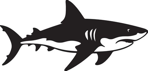 Shark Silhouette Vector Illustration White Background 41935694 Vector ...