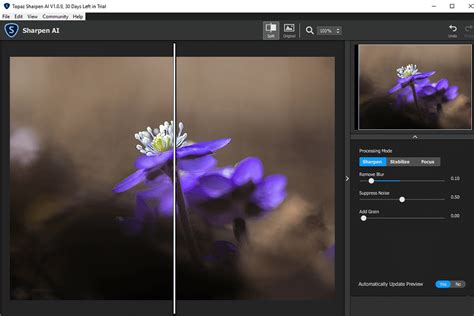 13 Best AI Photo Editors for Quick Editing in 2023