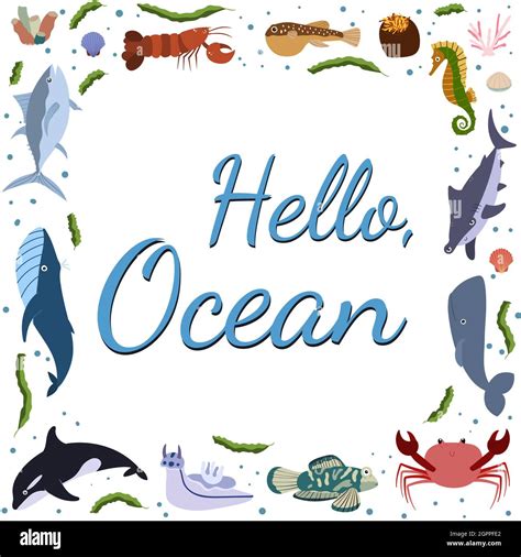 Frame template with cartoon sea animals. Ocean background with square ...