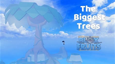 Biggest Trees In Each Sea Blox Fruits Youtube