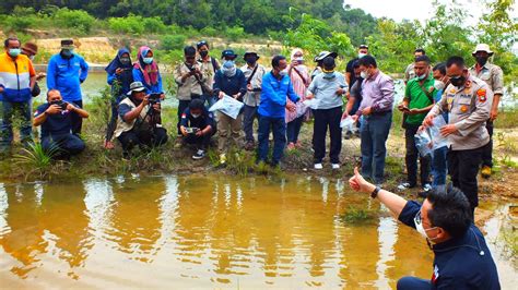 Lagi Sinergi BKSDA SUMSEL Dengan Para Pihak Lepasliarkan Musang Pandan