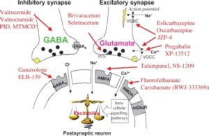 Gabapentin mechanism of action