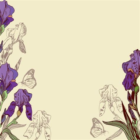 Iris Bloemen En Vlinders Vector Achtergrond Met Paarse Irissen En