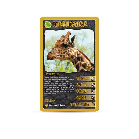 Top Trumps Awesome Animals | ZSL Shop