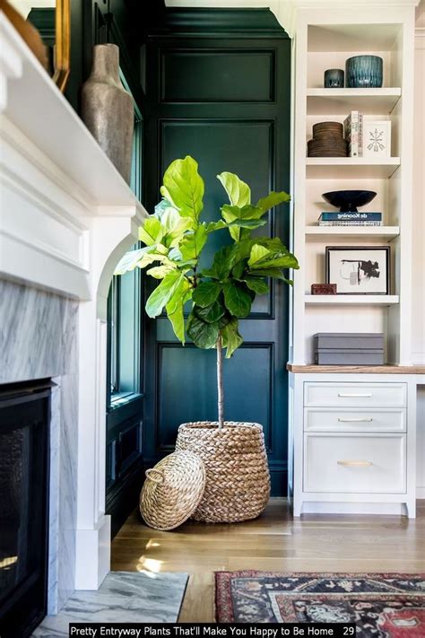 101 Pretty Entryway Plants That Ll Make You Happy To Be Home In 2020