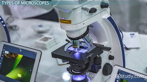 Microscope Overview Types Uses Lesson Study