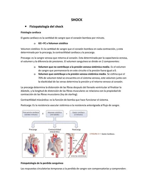 Shock Definicion Clasificacion Fisiopatologia Diagnostico Y