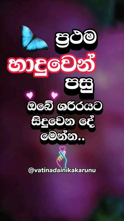 ඊටපස්සෙ ඔයාට වෙන දේ😍🥰shortvideo Shorts Love Youtube