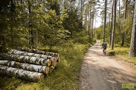 Szlaki Rowerowe Augustowa Trasa Wok Jeziora Bia E Augustowskie