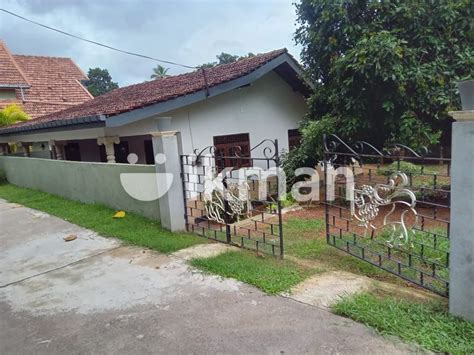 House For Sale Kaluwala Road Ganemulla Ikman