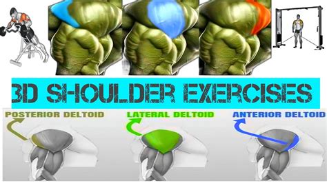 7 Effective Shoulder Exercises To Build 3D Bigger Shoulders Best Gym