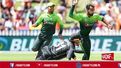 Mohammad Hafeez Breaks A Big T20 World Record Pakistan Vs New Zealand