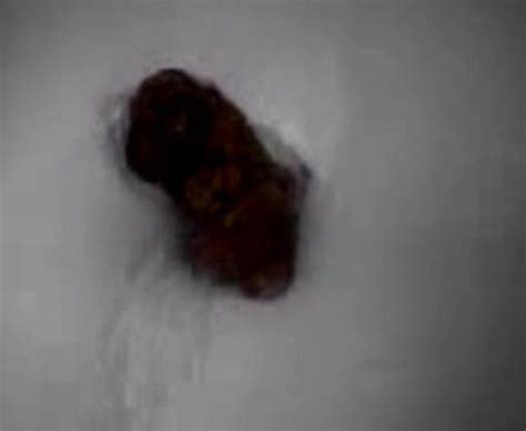 biggest pooped - DriverLayer Search Engine